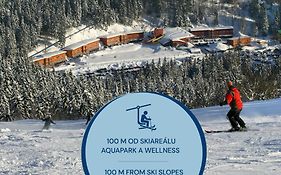 Aqua Park Špindlerův Mlýn